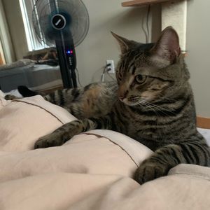 Meet your Posher, Emilio